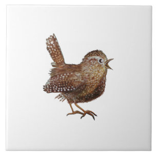 Azulejo Ilustracion Wren Bird (Troglodytes Troglodytes)