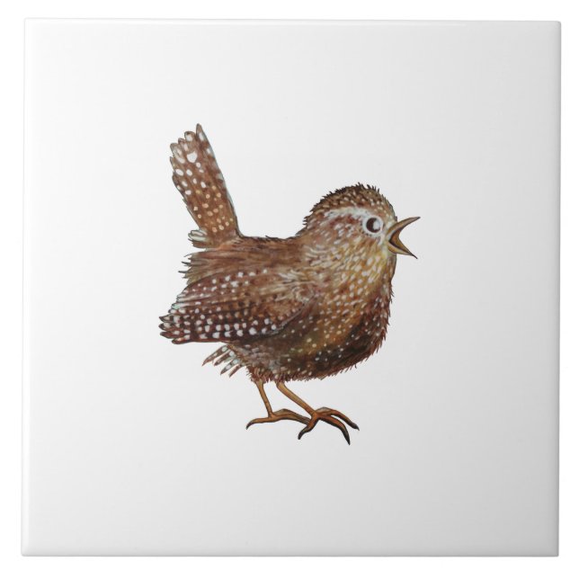 Azulejo Ilustracion Wren Bird (Troglodytes Troglodytes) (Frente)
