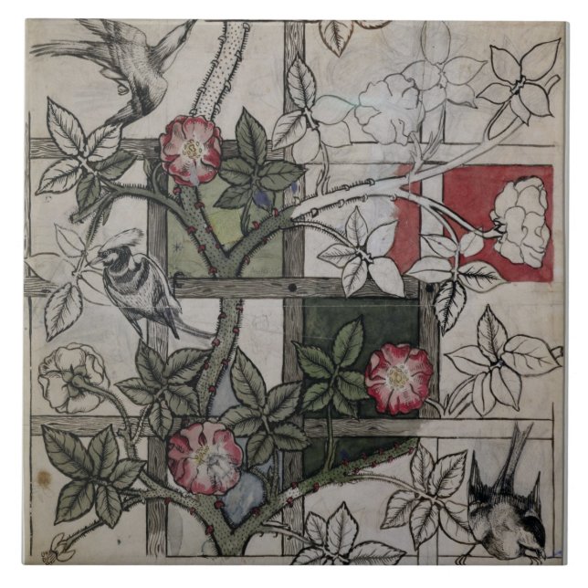 Azulejo Ilustraciones originales para el diseño del papel (Frente)