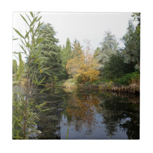 Azulejo imagen de escena de jardín relajante, hermosos árb