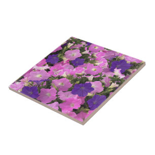 Azulejo Imagen fotográfica de flores de enredadera de la m