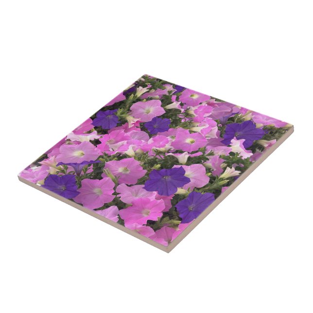 Azulejo Imagen fotográfica de flores de enredadera de la m (Lado)