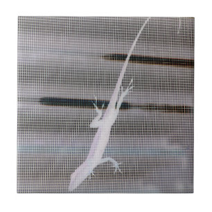 Azulejo Imagen negativa de un lagarto en una pantalla de v