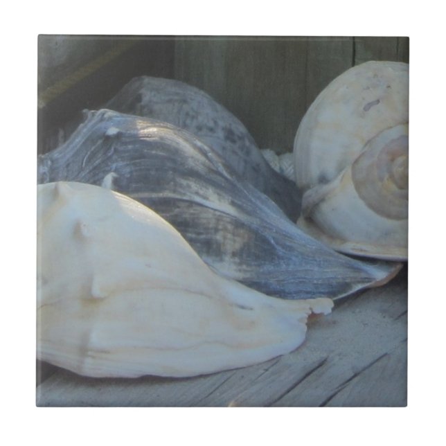 Azulejo IMG_1498 (3).jpg (Frente)