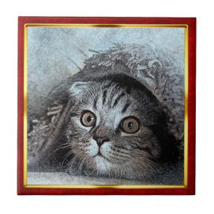 Azulejo Impresión abstracta de gato enmarcado en rojo y do