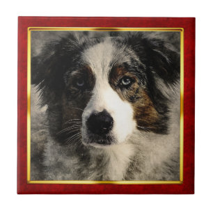 Azulejo Impresión abstracta de perro enmarcada en rojo y d