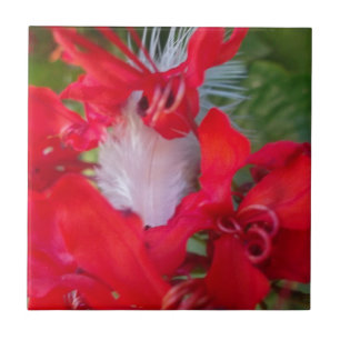 Azulejo Impresión artística de pluma de pétalo rojo