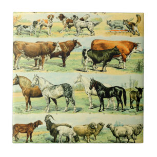 Azulejo Impresión de animales de granja de cosecha de cos