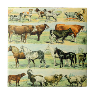 Azulejo Impresión de animales de granja de cosecha de cose