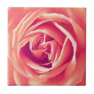Azulejo Impresión de rosa de coral