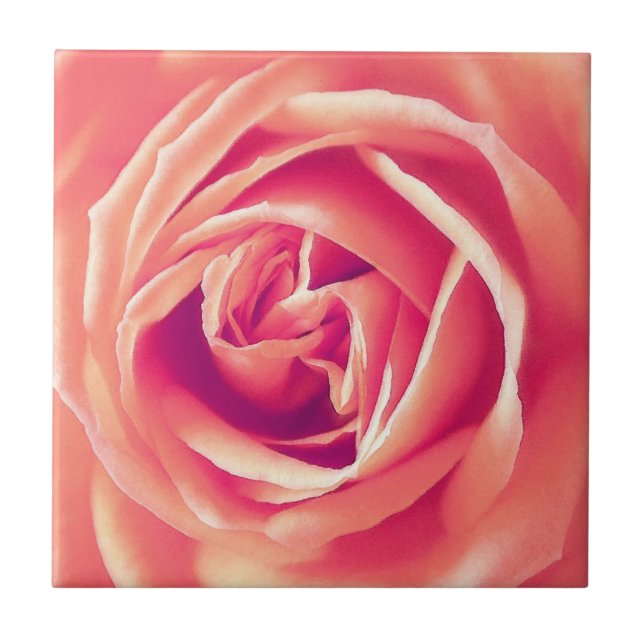 Azulejo Impresión de rosa de coral (Frente)