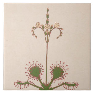 Azulejo Impresión floral de vintage de Repro