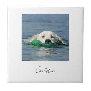 Azulejo Impresión personalizada de foto de perro en cerámi