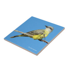 Azulejo Impresionante ave tropical en rama de Blackberry