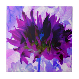 Azulejo Impresionante Dahlia de Cactus Morado y Negro