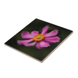 Azulejo Impresionante flor anémica rosa japonesa
