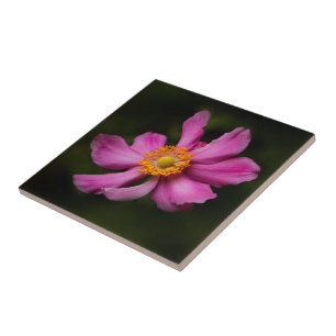 Azulejo Impresionante flor anémica rosa japonesa