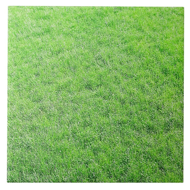 Azulejo Impresionante mosaico verde de hierba (Frente)
