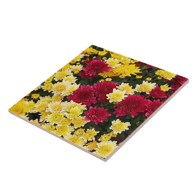 Azulejo Impresionantes flores de crisantemo de otoño de or (Lado)