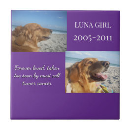 Azulejo In Memory, Love Remains