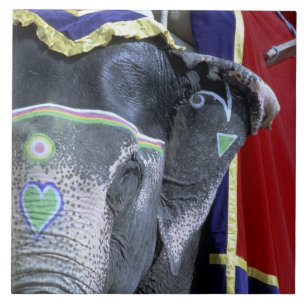 Azulejo India, Rajastán, Jaipur. Amber Fort.