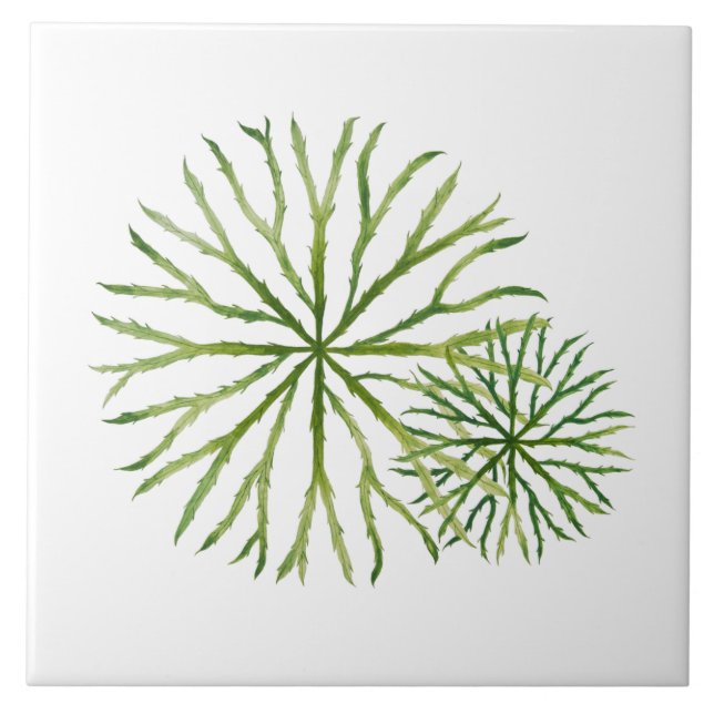 Azulejo Indian Summer on a Ceramic Tile (W) (Frente)