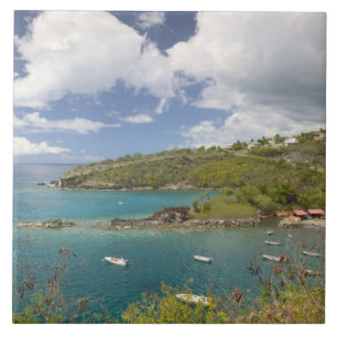 Azulejo INDIAS OCCIDENTALES FRANCESAS (FWI), Guadaloupe, B