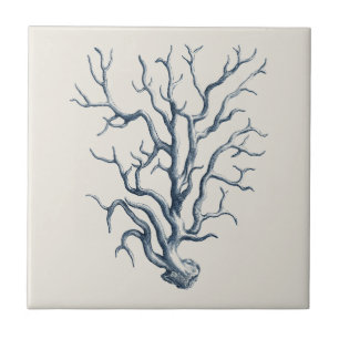 Azulejo Indigo coral