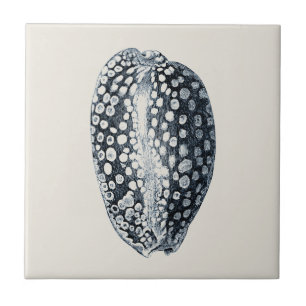 Azulejo Indigo Seashell