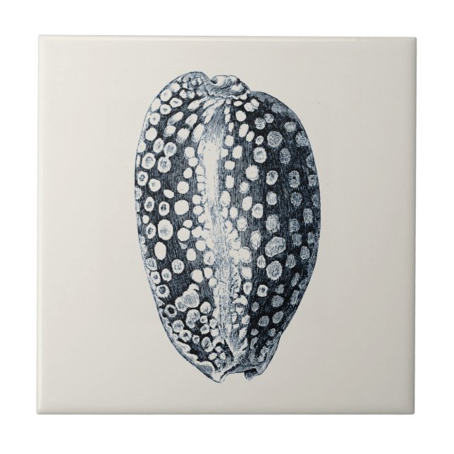Azulejo Indigo Seashell (Frente)