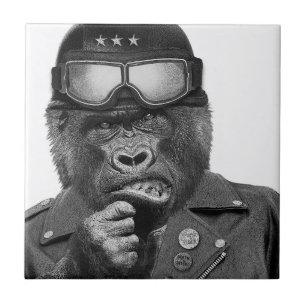 Azulejo Individuo del gorila