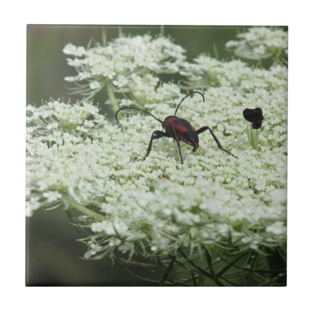 Azulejo Inscripción en mosaico cerámico de flores mayores (Frente)