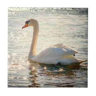 Azulejo Inspiraciones naturales Cisne elegante
