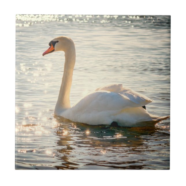 Azulejo Inspiraciones naturales Cisne elegante (Frente)
