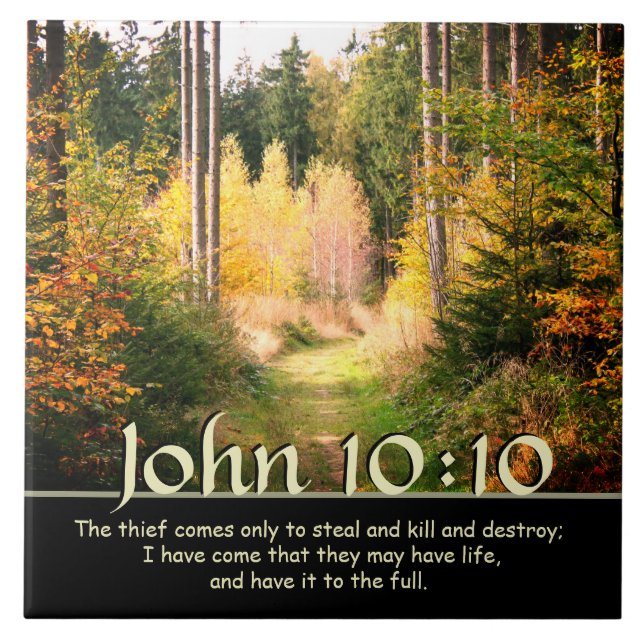 Azulejo Inspirando la Biblia contra John 10 10 Camino de O (Frente)