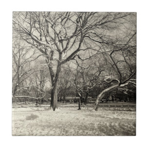 Azulejo Invierno de Nueva York - nieve del East Village