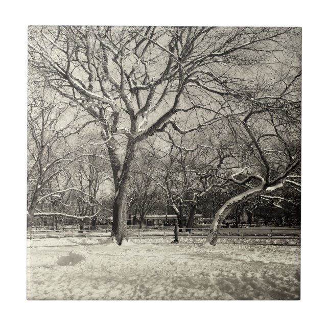 Azulejo Invierno de Nueva York - nieve del East Village (Frente)