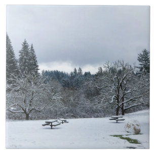 Azulejo Invierno en el Parque, Wilsonville, OR