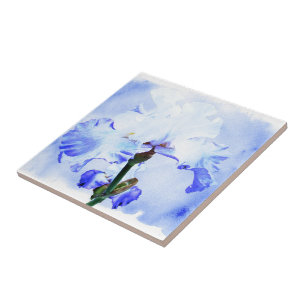 Azulejo Iris Con Barba - Azul Y Blanco