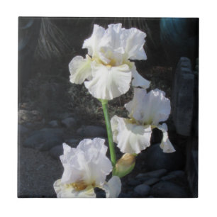 Azulejo Iris floreciente blanco