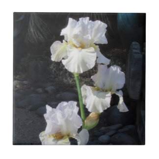 Azulejo Iris floreciente blanco