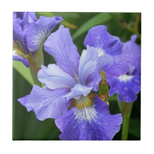 Azulejo Iris morado