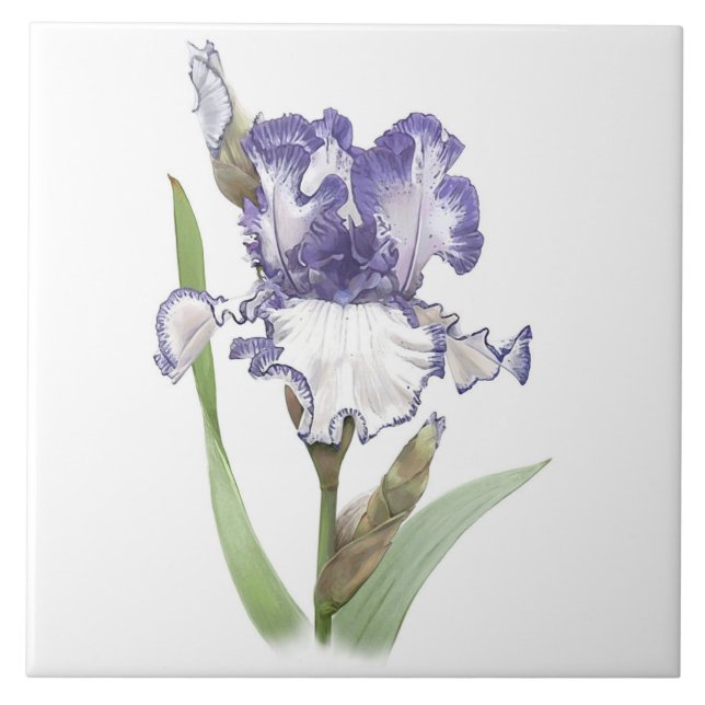 Azulejo Iris morado y blanco Flor de flores (Frente)
