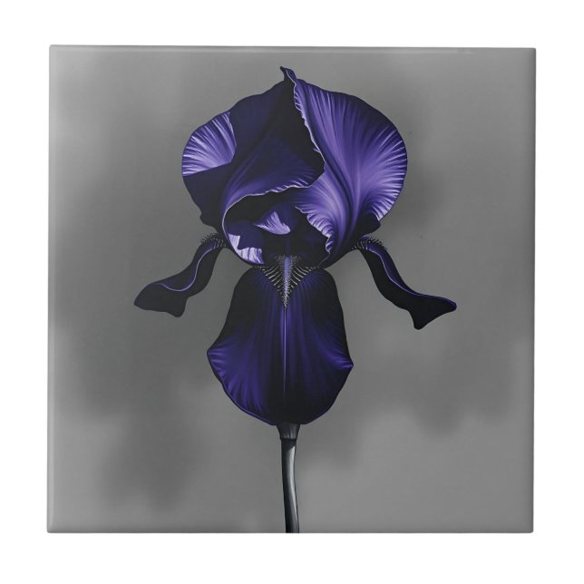Azulejo Iris Oscuro Elegante Con Gris Humeante (Frente)