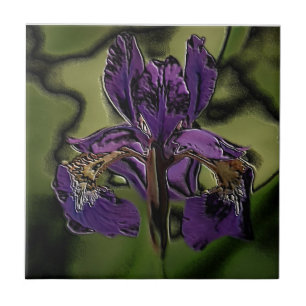 Azulejo Iris púrpura