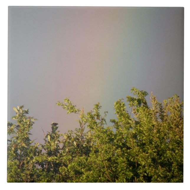 Azulejo Iris Sky Tile (Frente)