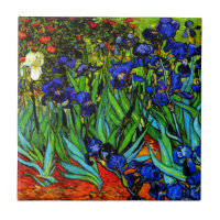 Irises, famoso cuadro floral de Van Gogh