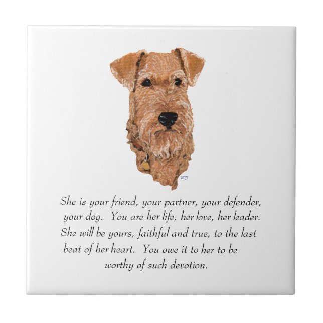 Azulejo Irish Terrier Keepsake - mujer (Frente)