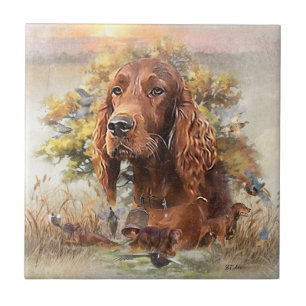 Azulejo Irlandés Setter