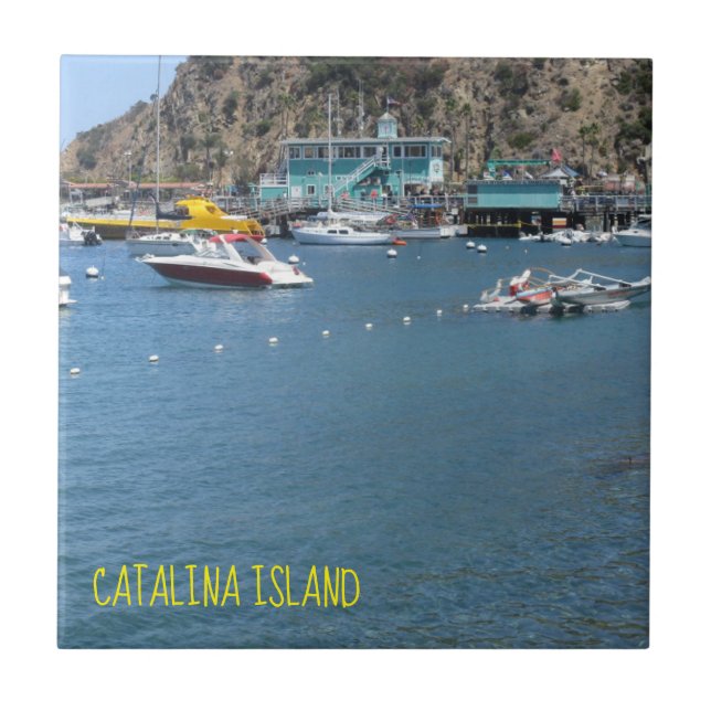 AZULEJO ISLA DE CATALINA CERAMIC ATACA LA CASA VERDE (Frente)